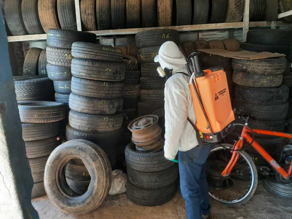 São Pedro do Sul registra aumento no índice de focos do mosquito Aedes aegypti; prefeitura emite alerta preventivo