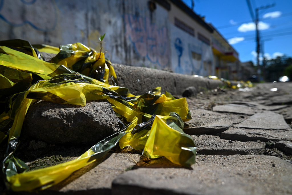 Foto:Vinicius Becker - 