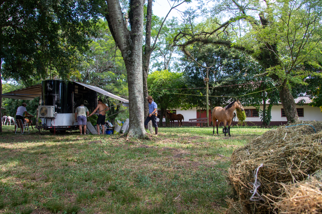 Estância do Minuano já vive o clima do 31º Rodeio Internacional do Conesul; evento inicia nesta quarta