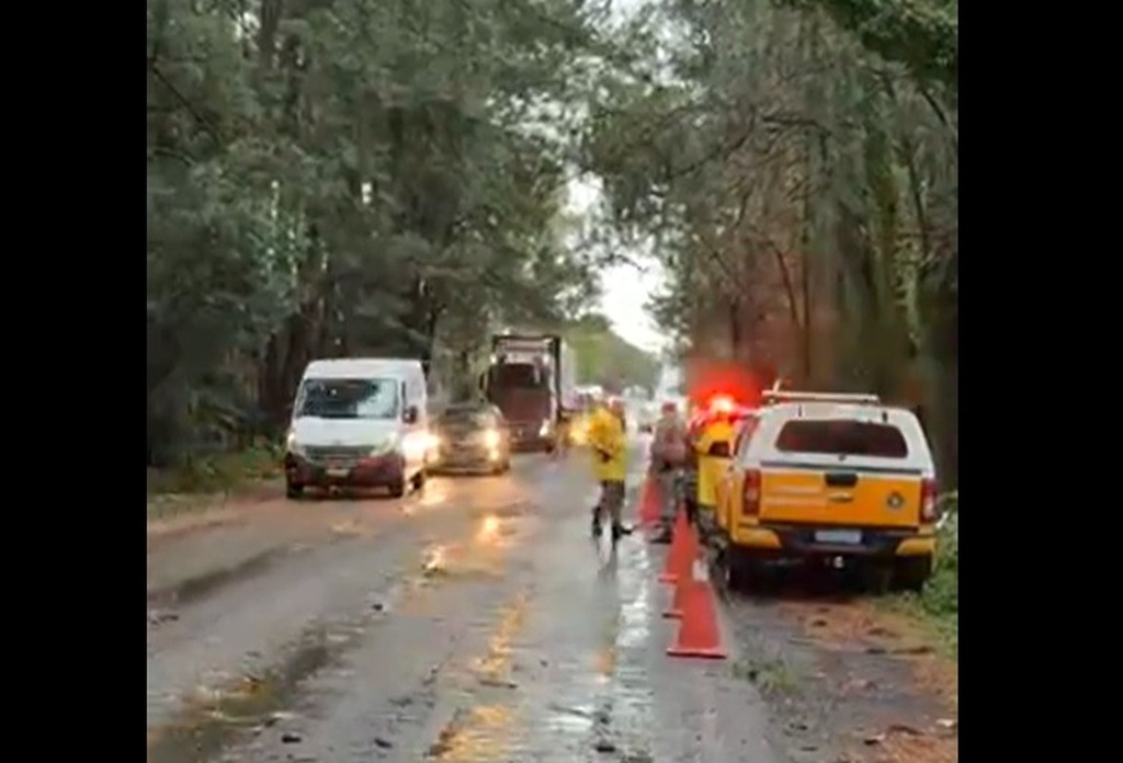 título imagem Motorista morre e passageira fica ferida após árvore cair sobre carro durante temporal em Cruz Alta