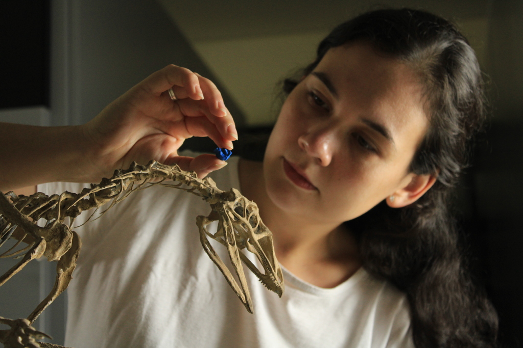 Foto: Rodrigo Temp Müller (Divulgação) - Paleontóloga Lísie V. S. Damke segurando o modelo em tamanho real do cérebro de Venetoraptor gassenae