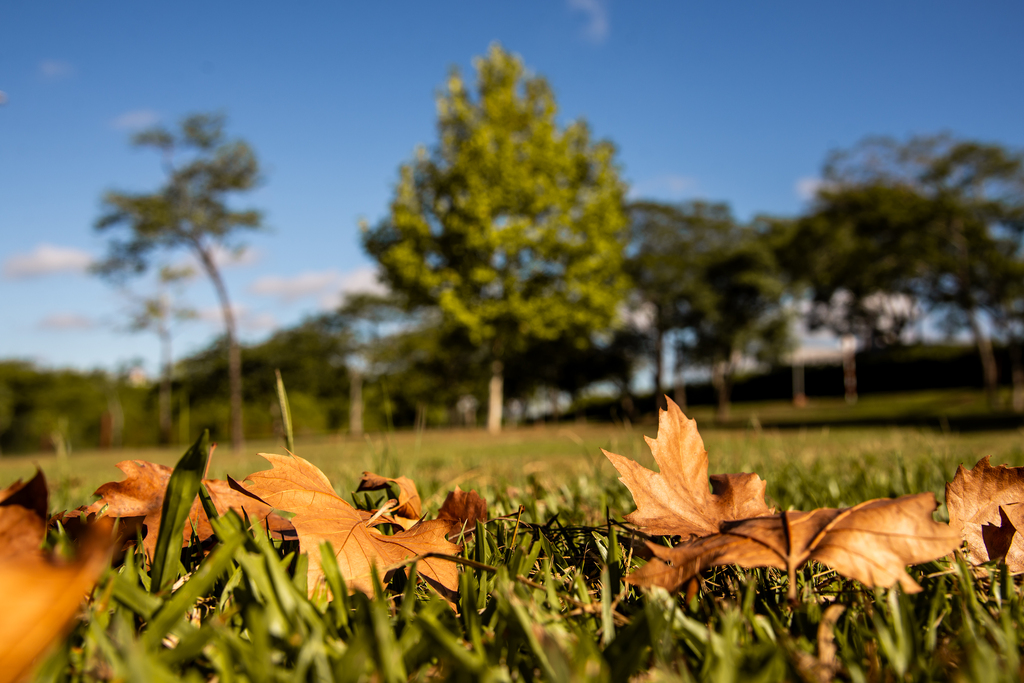 Foto: Vinicius Becker (Diário) - 