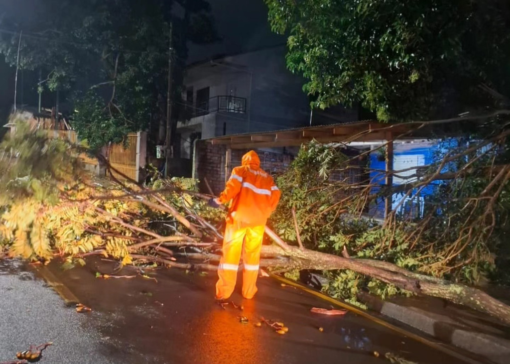 Vendaval atinge norte do Estado, destelha casas e derruba árvores