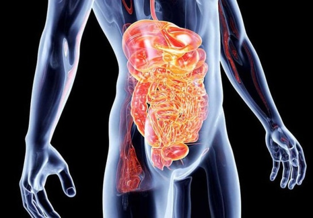 Março Azul Marinho: Rio Grande do Sul é um dos estados com maior incidência de câncer de intestino no Brasil