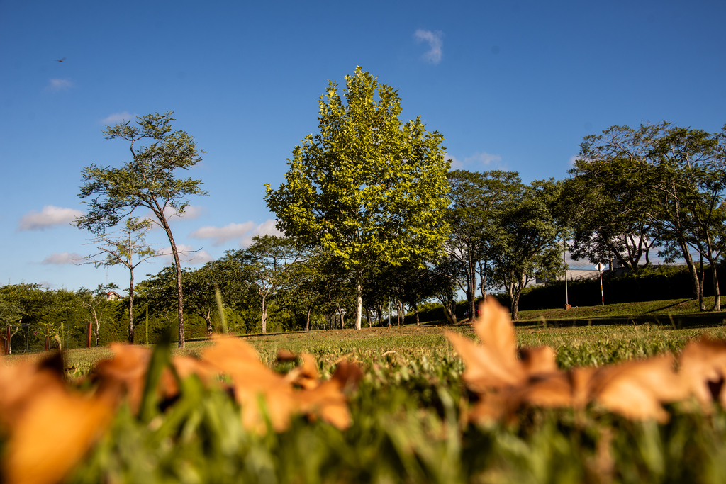 Abril começa com tempo firme e quente em Santa Maria; estabilidade predomina até sábado