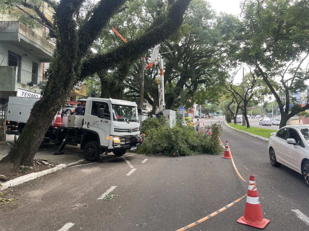 título imagem Retirada de árvore com risco de queda causa bloqueio parcial na Avenida Medianeira, em Santa Maria