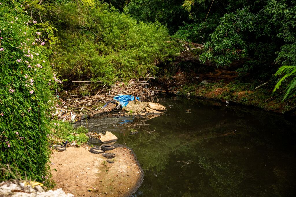 Foto: Vinicius Becker - 