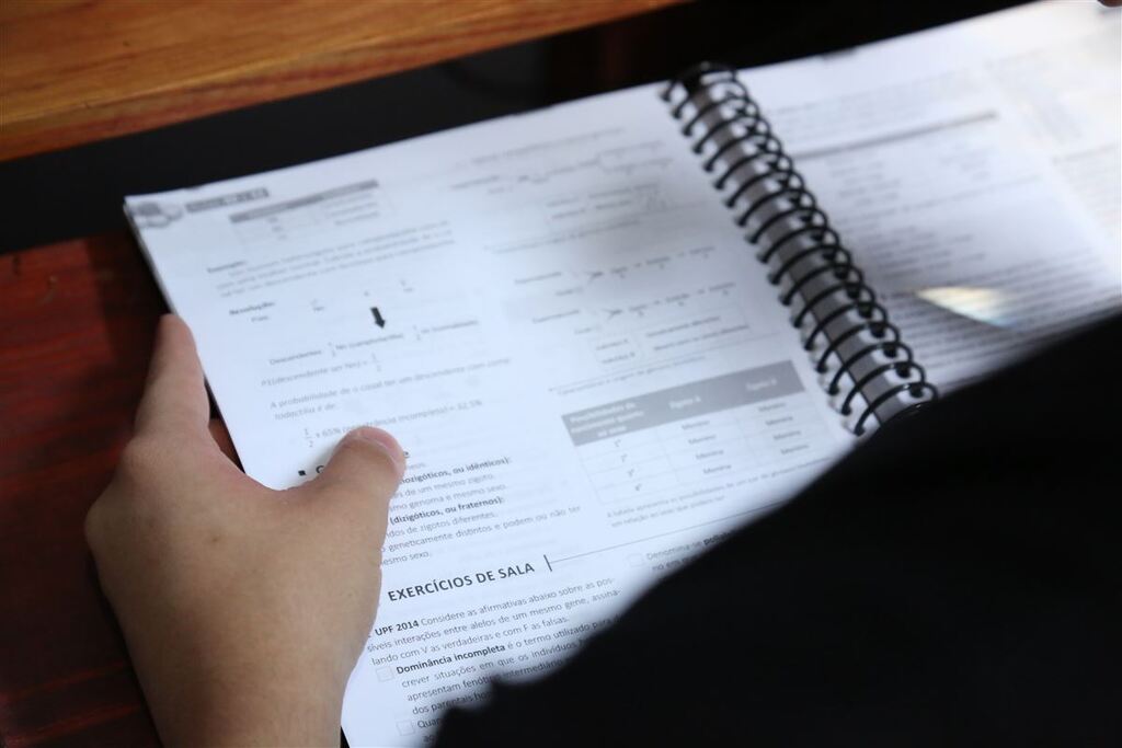 Foto: Vitória Sarturi - 