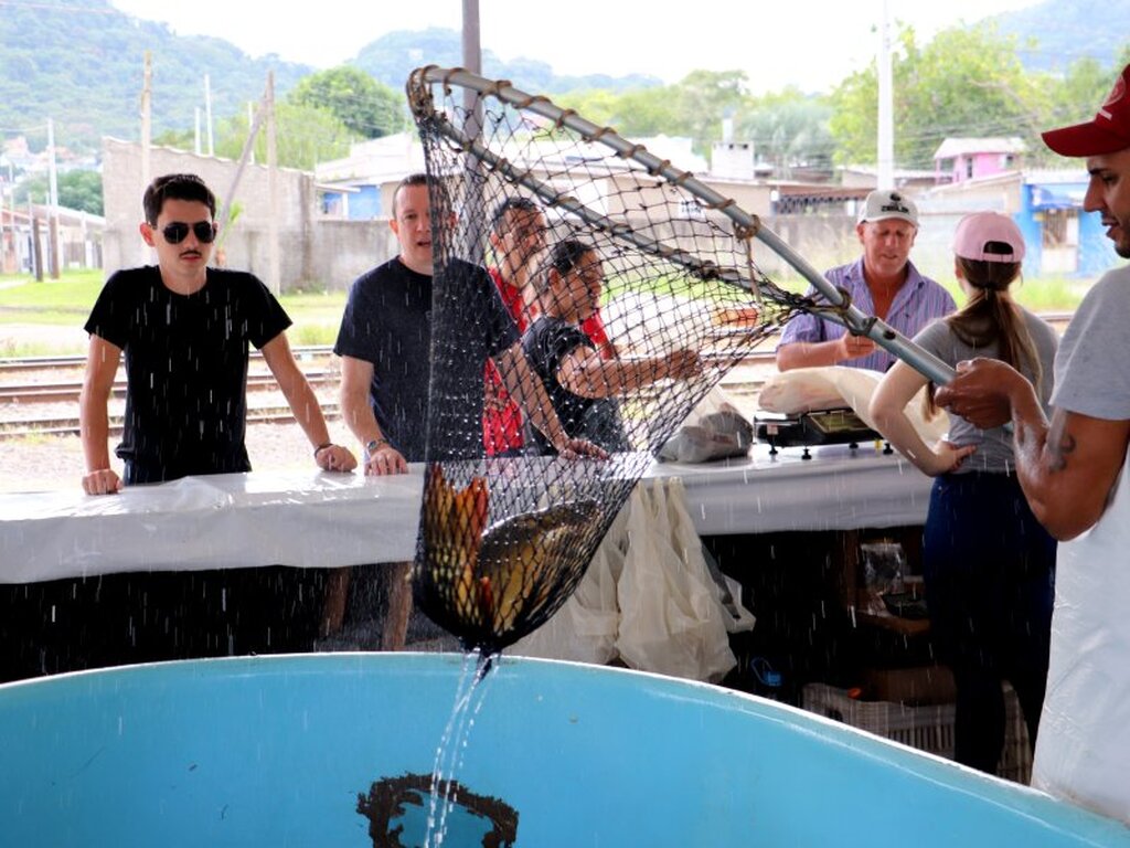 Foto:  João Alves (PMSM/Divulgação) - 