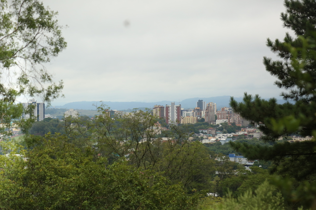 Foto: Arquivo Diário - 