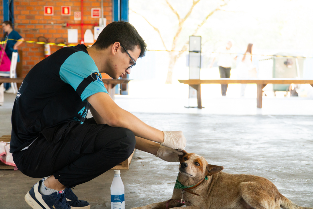 Foto: Luís Gustavo Santos (Arquivo/Diário) - 