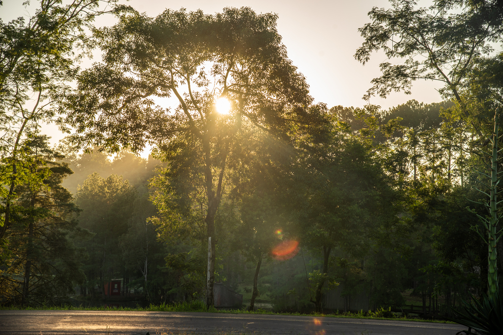 Após amanhecer nublado, sol deve aparecer ao longo da quinta-feira em Santa Maria; risco de temporais volta no fim de semana