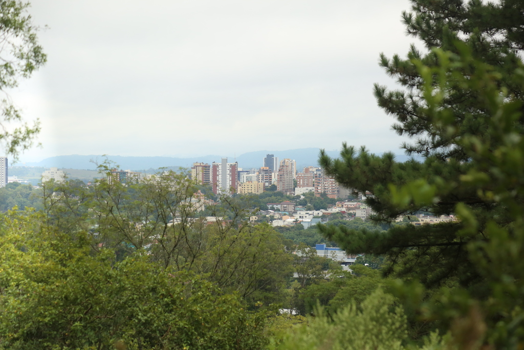 Foto: Arquivo Diário - 