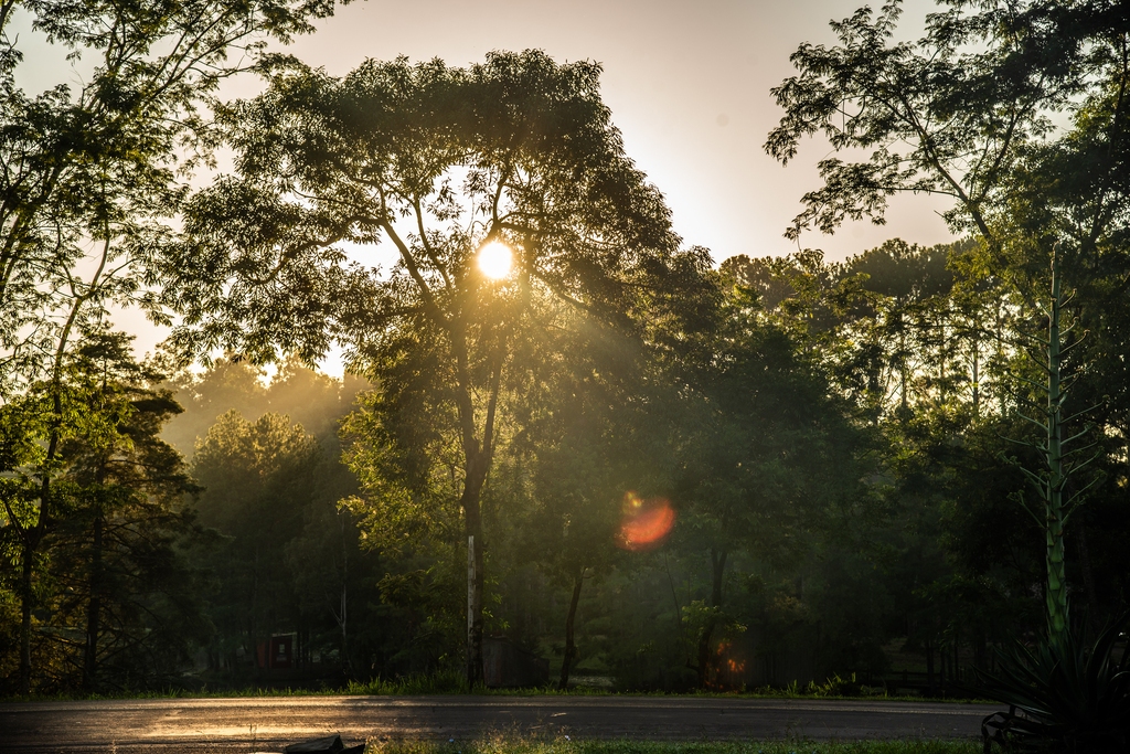 Foto: Vinicius Becker (Diário) - 