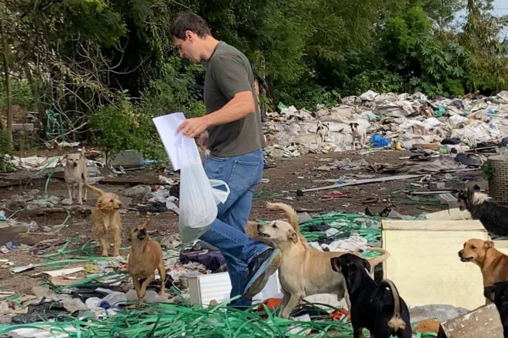 Ministério Público de Santa Maria é acionado por abandono de animais no Km 2