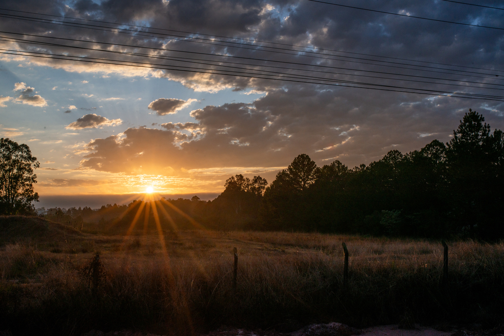 Foto: Vinicius Becker (Diário) - 
