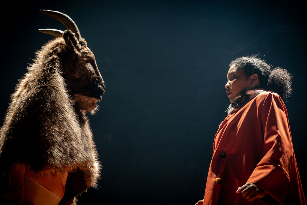 Foto: Gilberto Perin (Divulgação) - 