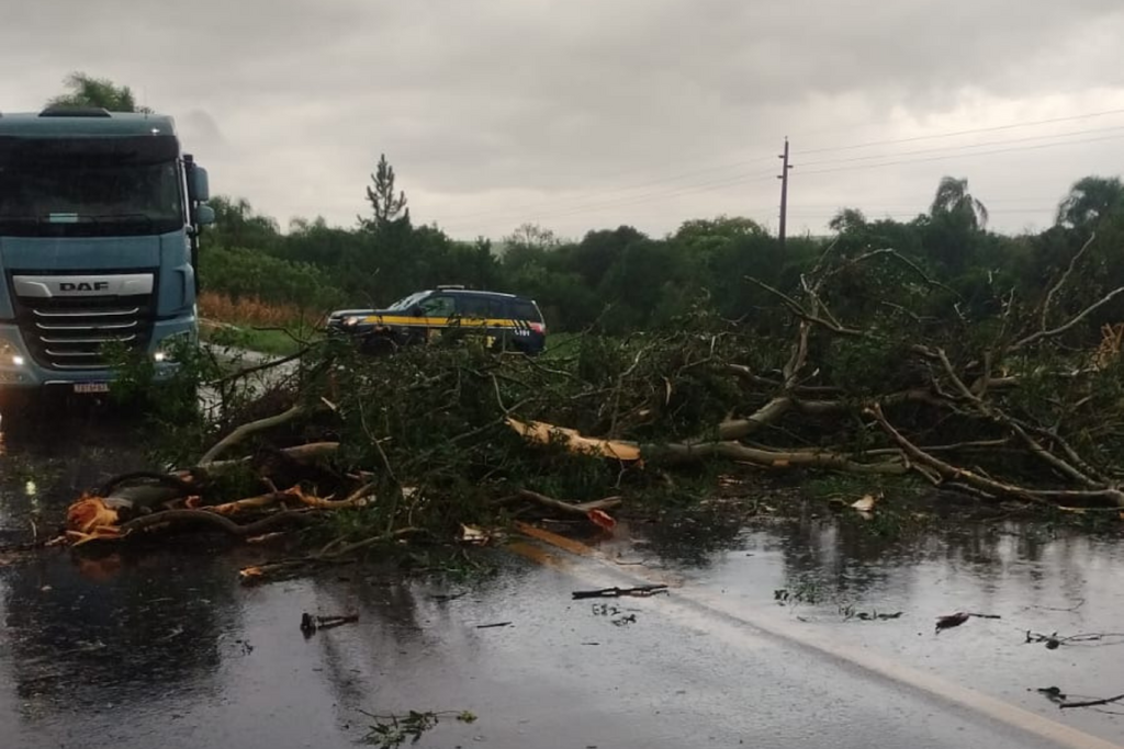 Foto: PRF (Divulgação) - 