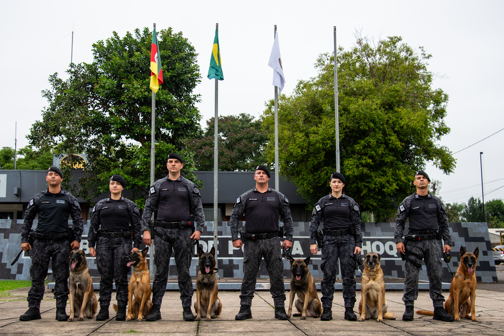 Faro, disciplina e parceria: conheça o trabalho dos cães do Batalhão de Choque em Santa Maria