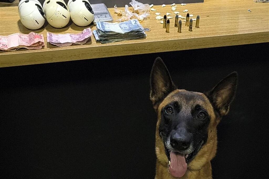 Cão policial auxilia na apreensão de drogas e munições em Santa Maria