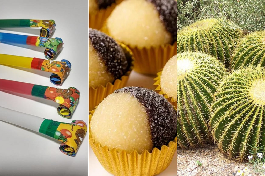 De “olho de sogra” a cactos: curiosidades que mostram como a sogra virou referência cultural