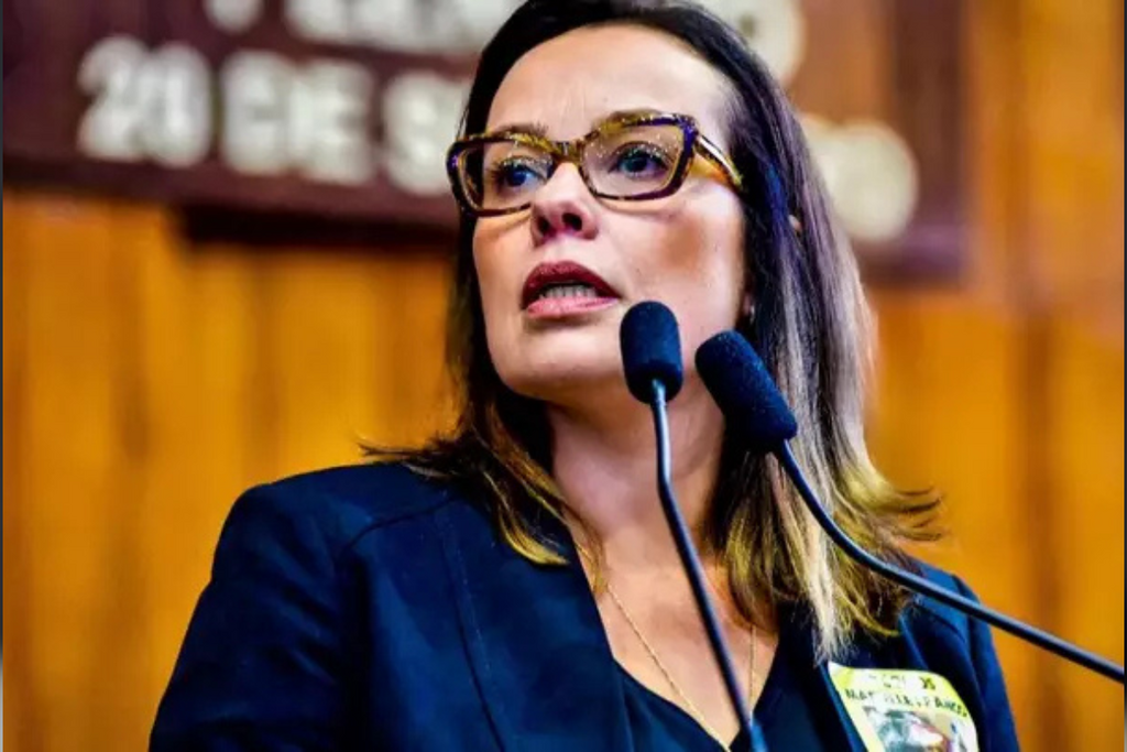 Foto: PDT (Divulgação) - 