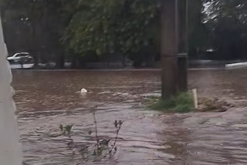 VÍDEO: Chuva intensa alaga casas e ruas em Rosário do Sul; outros municípios da região também registram danos