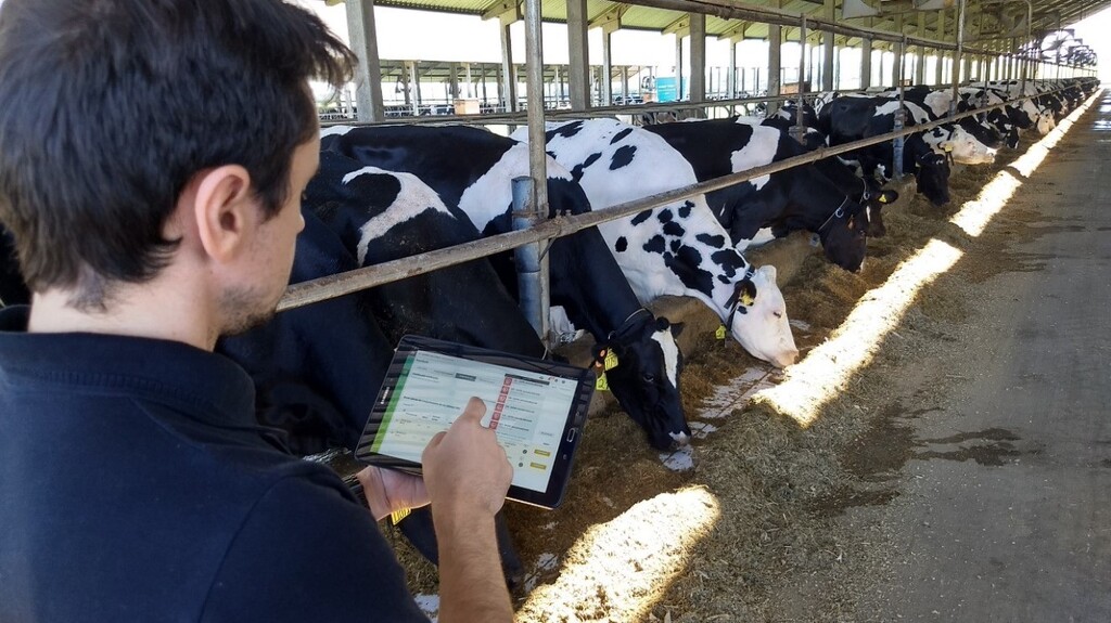 Santa-mariense Cowmed já monitora 950 mil vacas em sete países e planeja expansão na América do Sul