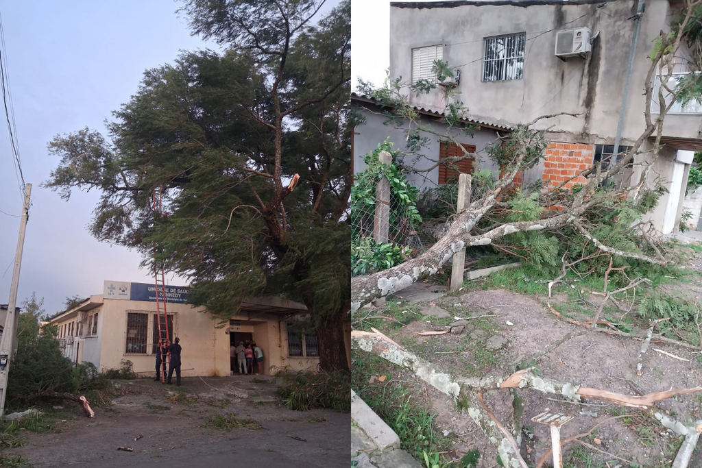 Vento derruba galho sobre idoso em fila de UBS e atinge casa na zona norte de Santa Maria