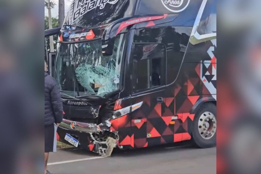 Foto: Reprodução (Redes Sociais) - Acidente aconteceu no final da manhã deste domingo, perto do trevo de acesso a São Pedro do Sul. Motociclista atingiu o vidro da frente do ônibus