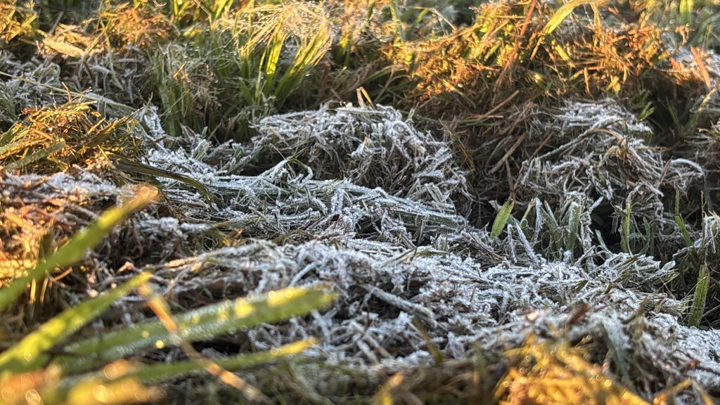 Santa Maria amanhece com geada e frio intenso segue até sexta-feira