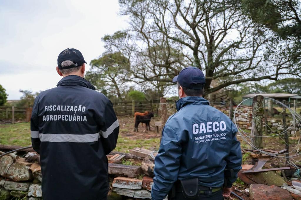 Grupo que simulava compra e venda de gado teria lavado mais de R$ 100 milhões do tráfico de drogas na Fronteira Oeste