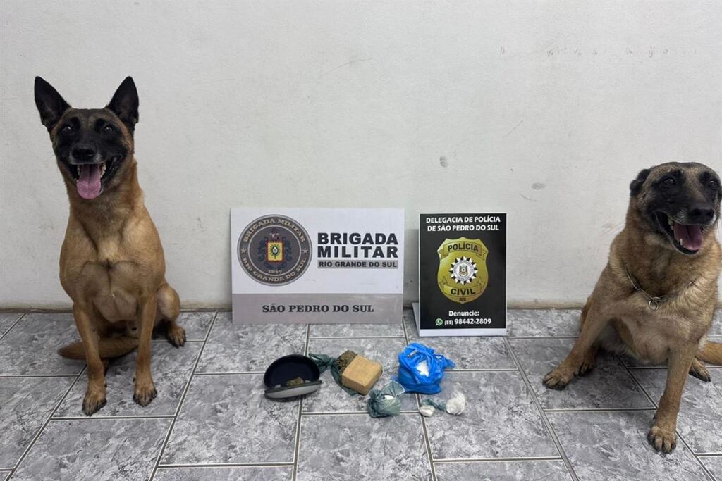 Cães do Batalhão de Choque localizam drogas embaixo de freezer em município da região
