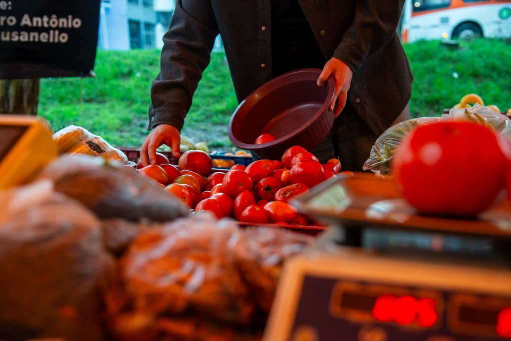Tomate a R$ 14,90: aumento dos hortifrutis pesa no bolso dos consumidores em Santa Maria