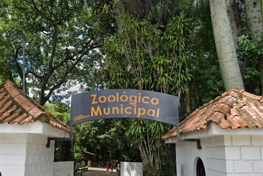 Aos gritos de 