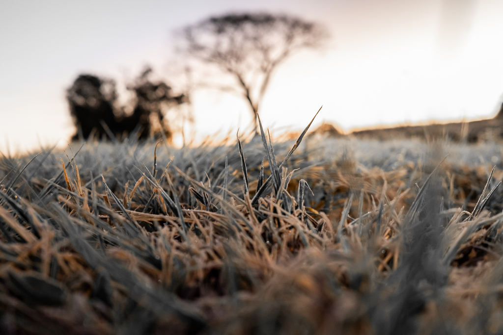 Frio de 1°C favorece geada no amanhecer desta terça e quarta-feira; tempo seco segue até quinta