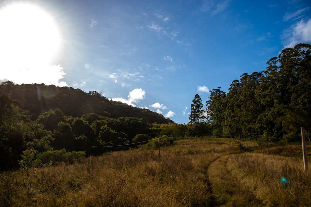 Terceiro dia consecutivo com mínimas abaixo de 5°C, quarta-feira terá sol e tempo seco em Santa Maria