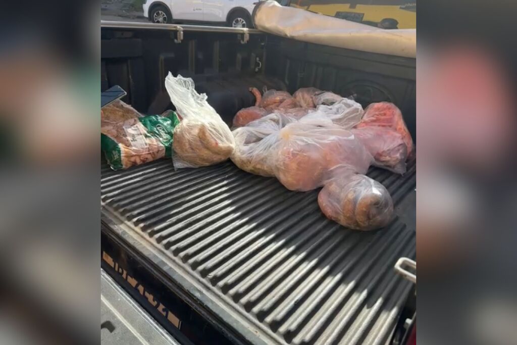VÍDEO: Operação apreende 480 quilos de carne imprópria para consumo e prende proprietários de minimercado em Santa Maria