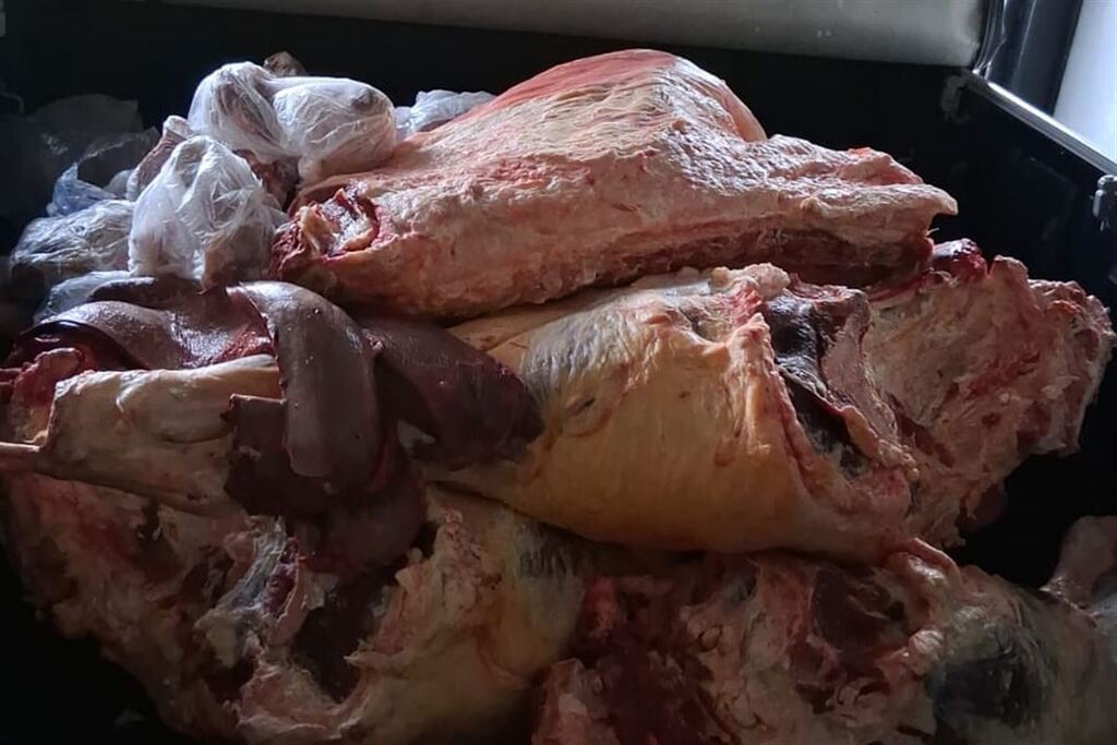 Operação fecha abatedouro clandestino e apreende mais de 1,2 tonelada de carne imprópria em Santa Maria e em cidade da região
