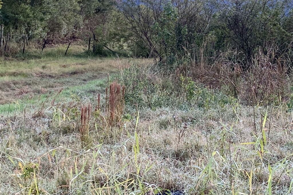 Justiça Federal condena trio por manter mãe e dois filhos em condição análoga à escravidão em Santa Maria