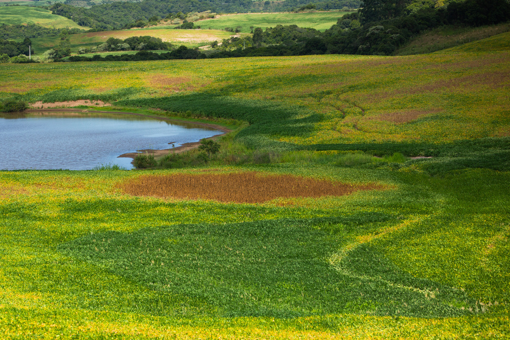 Produtores terão de usar fotos com GPS para acionar seguro rural