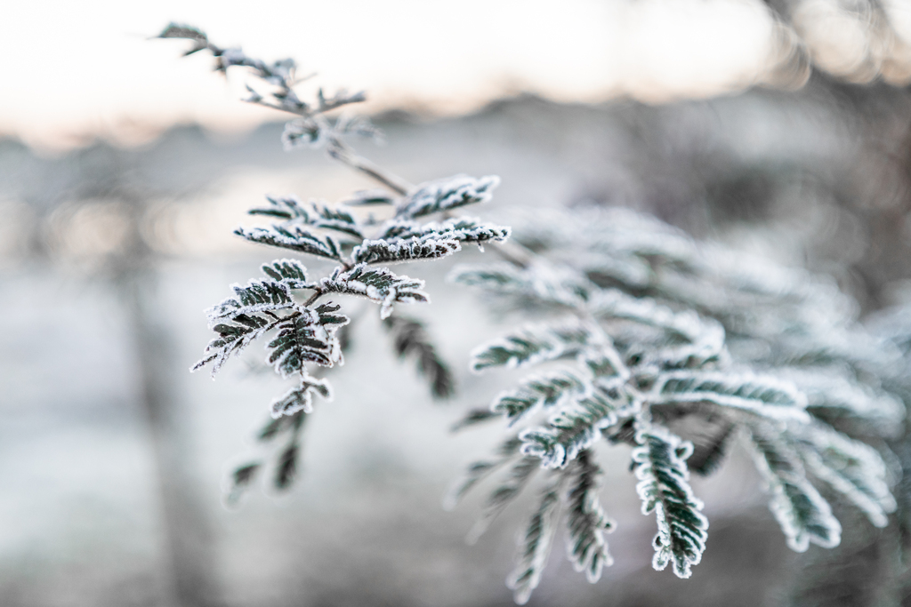 Quinta-feira terá queda acentuada de temperatura, e sexta deve ser dia mais frio do ano, com mínima de 0°C