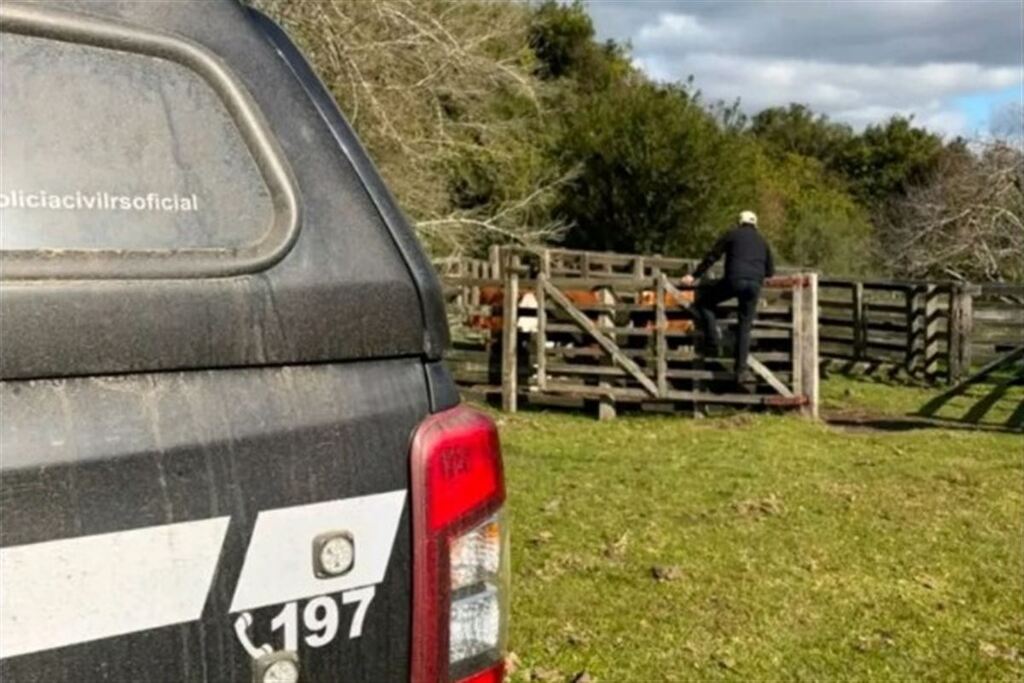 Poucas horas após crime, 14 bovinos são recuperados pela Polícia Civil em Lavras do Sul
