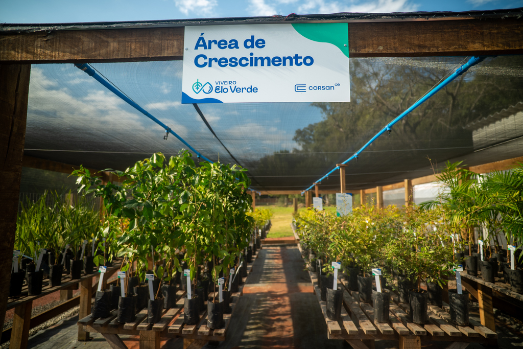Corsan inaugura viveiro focado em sustentabilidade e educação ambiental em Santa Maria