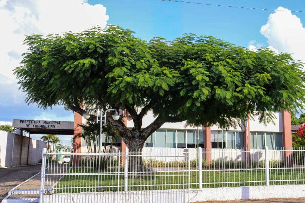 Prefeitura de Formigueiro abre seleção para professores; confira salário e prazo para inscrição