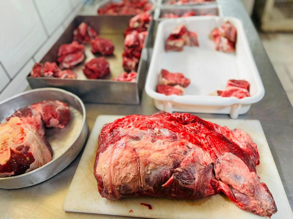 Mais de 2 toneladas de carne imprópria para consumo são apreendidas em Santa Maria neste ano