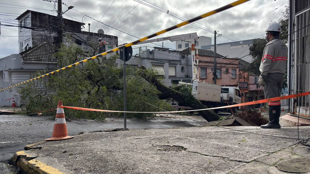 Queda de árvore bloqueia trecho da Rua Vale Machado e exige desvio no Centro de Santa Maria