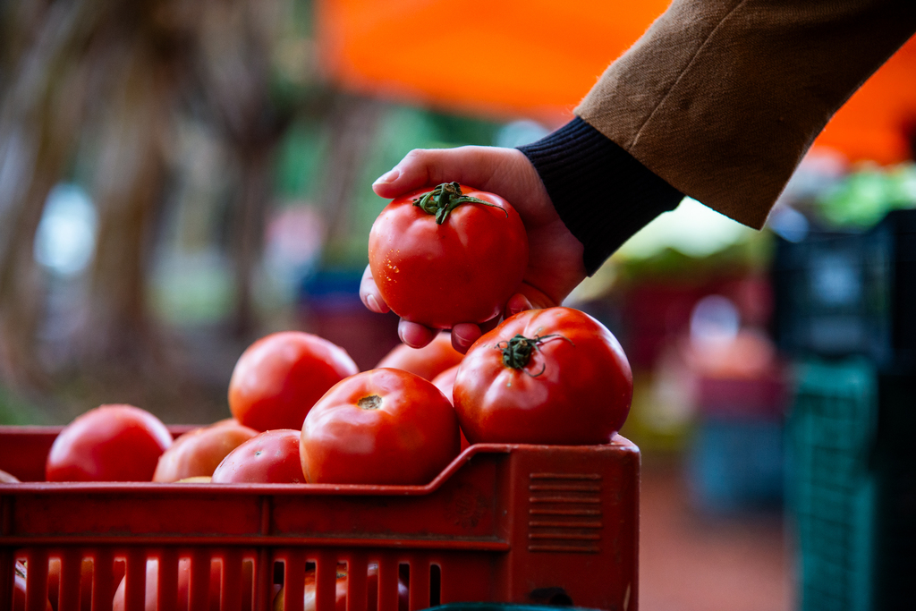 Santa Maria tem feiras com frutas, verduras e produtos coloniais até sábado; veja o cronograma