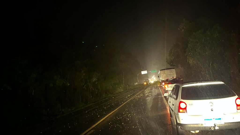 Queda de árvores bloqueia trechos da BR-392 entre São Sepé e Santa Maria durante temporal