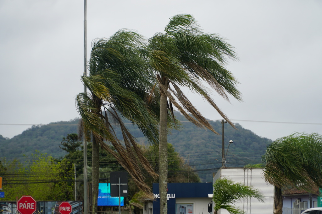 Temporal deixa casas destelhadas, árvores e postes caídos em Santa Maria